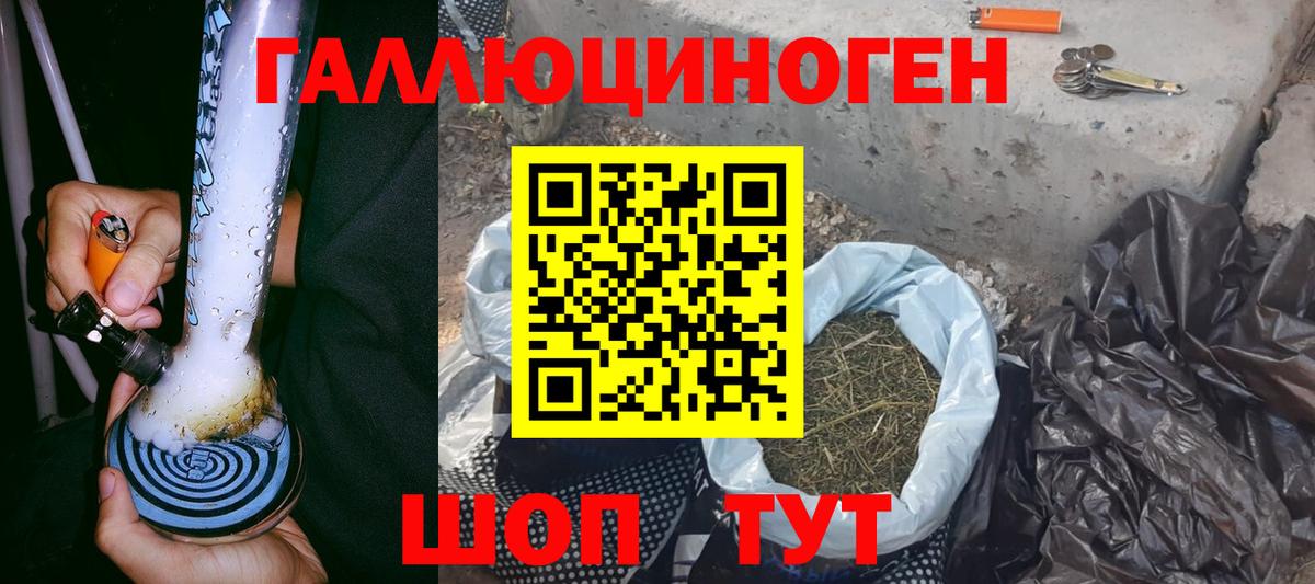Псилоцибиновые грибы Magic Shrooms  как найти наркотики  Кохма  Вход с VPN  Псилоцибиновые грибы Magic Shrooms 